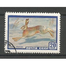 Postage stamp USSR Hare